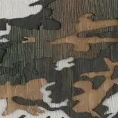 Hiding In Barks - WDHB2501