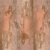 Beige Allure - WDBA2501