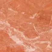 Arancio di Selva