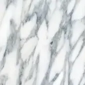 Zanaboni Marble MR05 Bianco Arabescato