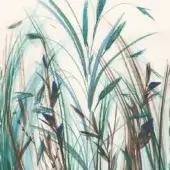 Arundo - WET_AD2501