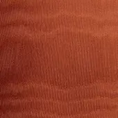 M15_Coral