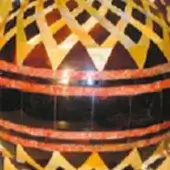 Turtle_Color_Shell