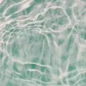 Reflex - WET_RE2502