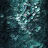 Thalassa - WET_TA2501