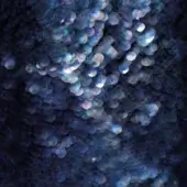 Thalassa - WET_TA2502