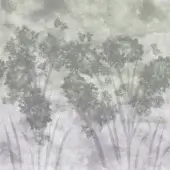 Tree Canopy - WET_TC2502