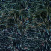 Underwater - WET_UW2502