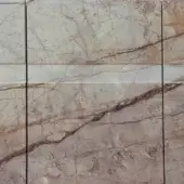 SILVER ROOTS MARBLE