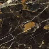 Black and Gold Marble