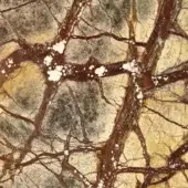 Forest Brown Marble