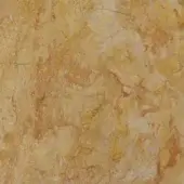 Regal Yellow Marble