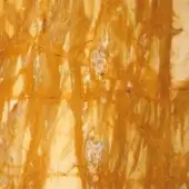 Sienna Yellow Marble