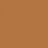 81 - Pumpkin (50 Gloss)