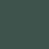 107 - Olive Green (50 Gloss)