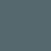 110 - Nardo Grey (50 Gloss)