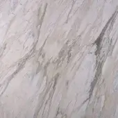 Cat. B - Palissandro