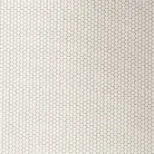 24299-07 AVORIO
