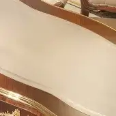 Ivory leather