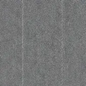 Pinstripe 9156