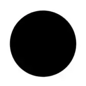 Matt Black