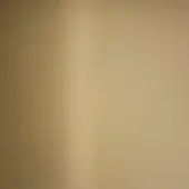 OTV - PAINTED BRASS