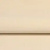 RX19737