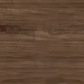 American Walnut