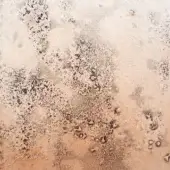 Bronze Gradient Partially Silvered