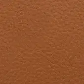 2834
