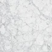 Billiani Marble Carrara
