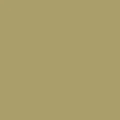 Billiani Stained RAL-1020 Olive Yellow