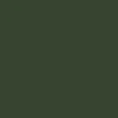 Billiani Stained RAL-6020 Chrome Green
