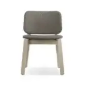 Upholstered Backrest and Seat Version