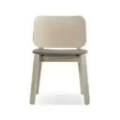 Upholstered Seat Version