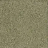 Nabuk-E-466