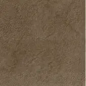 Nabuk-E-467