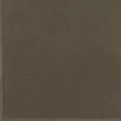 FV05-GOLD-BRONZE