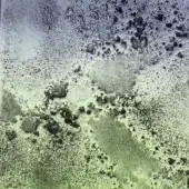 Midnight Blue-Green Gradient Partially Silvered