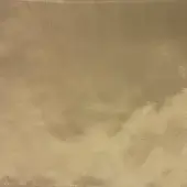 Dedalo 11