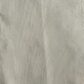 Dedalo 10