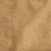 Dedalo 18