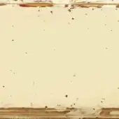 AVORIO