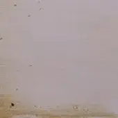 LAVANDA