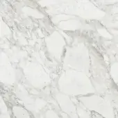 Classic White Calacatta