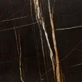 Sahara Noir