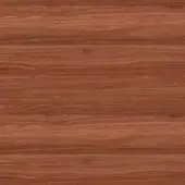 American walnut