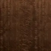 Eucalyptus frisé