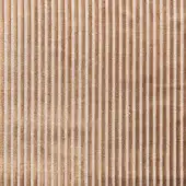 CAZE04-1163-COL-0975-CAMEL