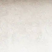 EX0008-Shine-White-07